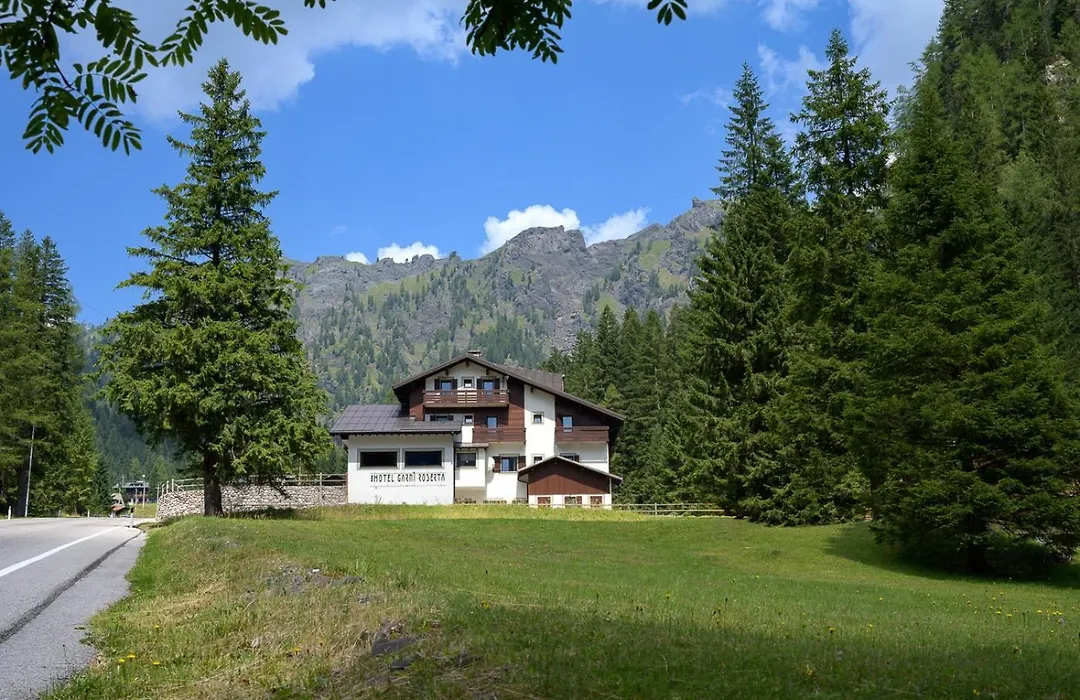 Hotel Garni Roberta-1